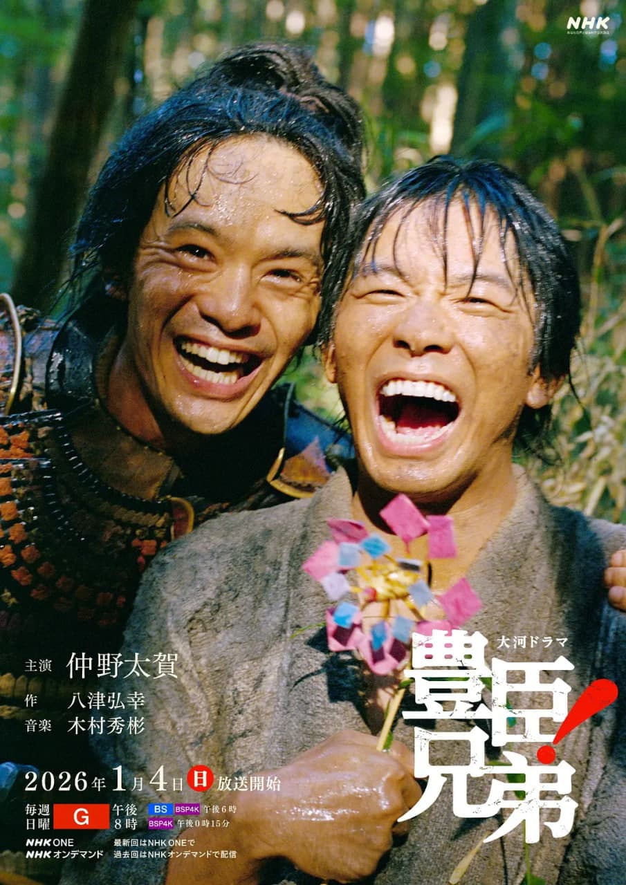 丰臣兄弟海报