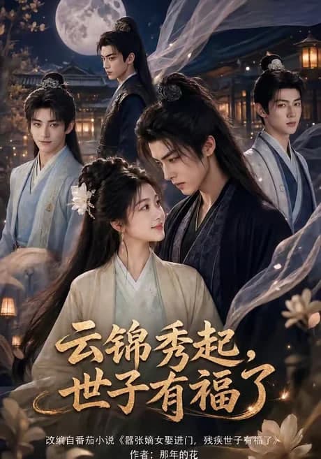 云锦秀起，世子有福了海报