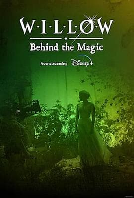 风云际会:幕后魔法海报
