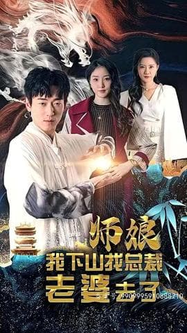 师娘，我下山找总裁老婆了海报