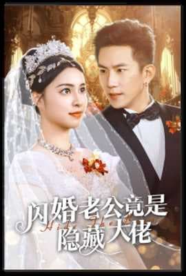 闪婚老公竟是隐藏大佬海报