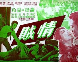 情贼粤语海报
