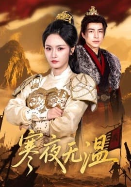 寒夜无温海报