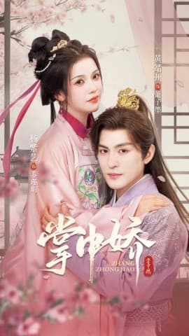 掌中娇94集海报