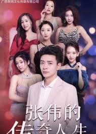 张伟的传奇人生海报