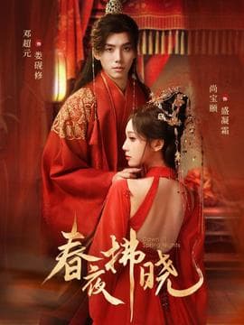 春夜拂晓海报