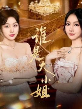 谁是大小姐海报