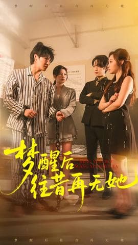 梦醒后往昔再无她海报