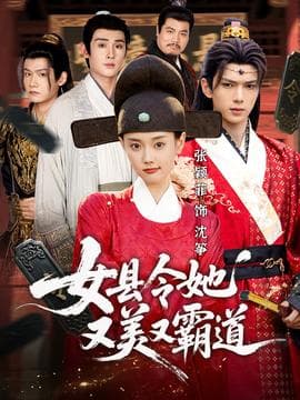 女县令她又美又霸道海报
