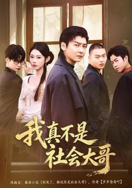我真不是社会大哥海报