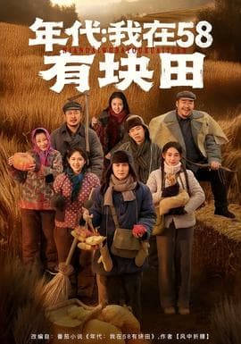 年代我在58有块田海报