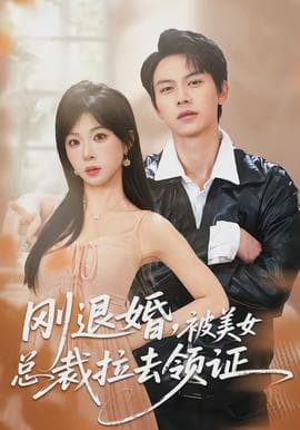 刚退婚，被美女总裁拉去领证海报
