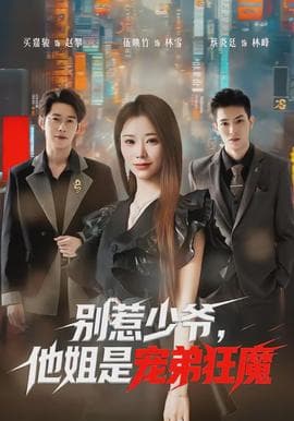 别惹少爷，他姐是宠弟狂魔海报