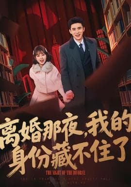 离婚那夜，我的身份藏不住了海报