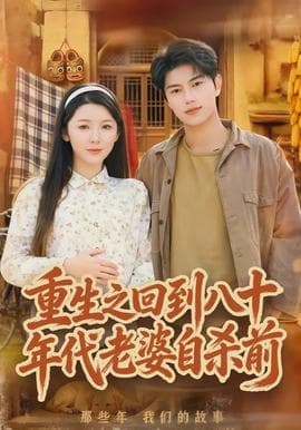 重生之回到八十年代老婆自杀前海报