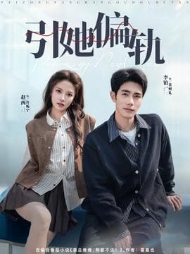 引她偏轨海报