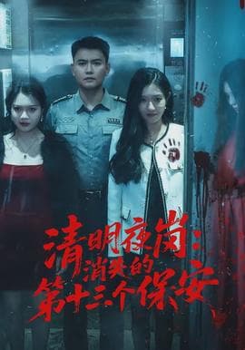 清明夜岗：消失的第十三个保安海报