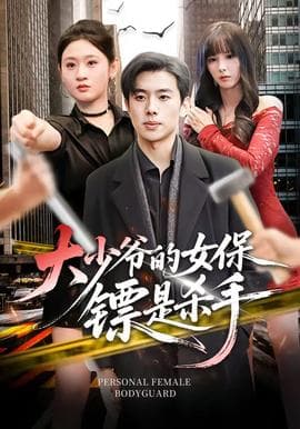 大少爷的女保镖是杀手海报