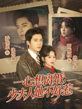 一心想离婚，少夫人她不好惹海报