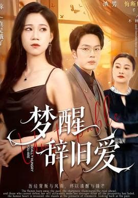 梦醒辞旧爱海报