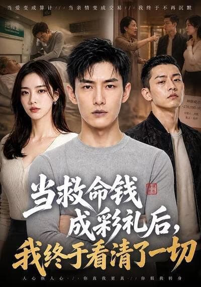 当救命钱成彩礼后，我终于看清了一切海报