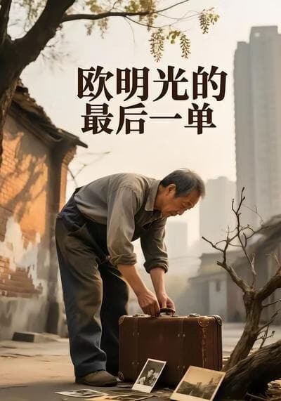 欧明光的最后一单海报
