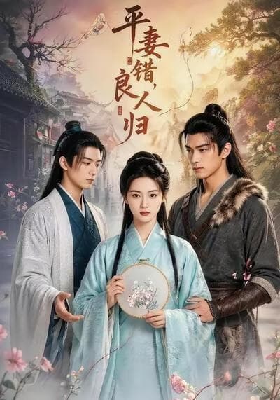 平妻错，良人归海报